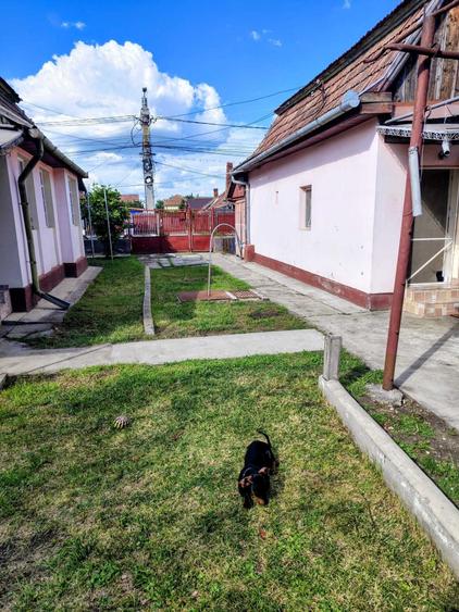 Casă cu 2 camere în Central