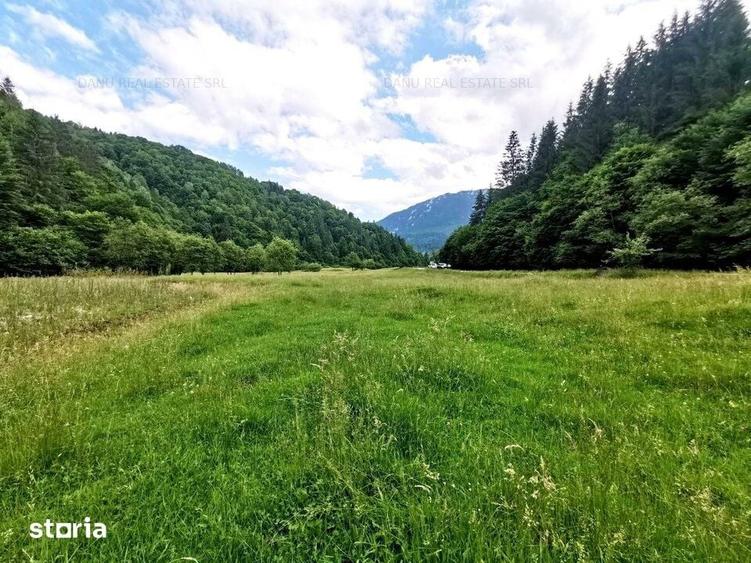Zarnesti-Barsa Fierului-Teren 1.893 mp pentru Casa de vacan?a, A-frame - 6