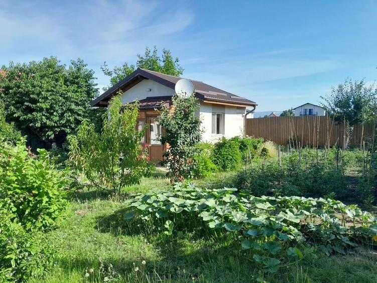 Vand casa Bod , Brasov