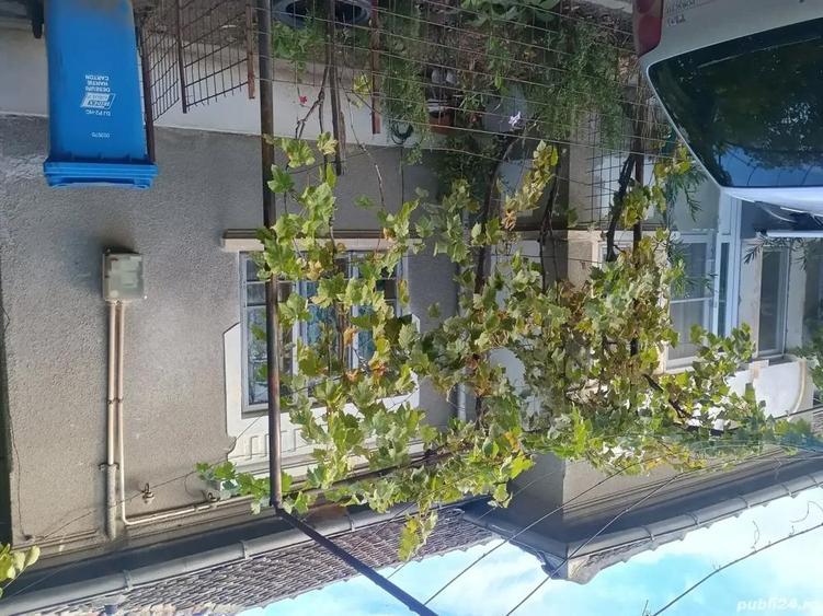 Casă cu 4 camere cu Teren 504 Mp în Central