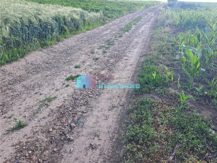 Teren intravilan in Reuseni, comuna Udesti - 7