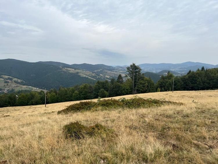Teren Construcții intravilan de 15000 mp, în Arieșeni