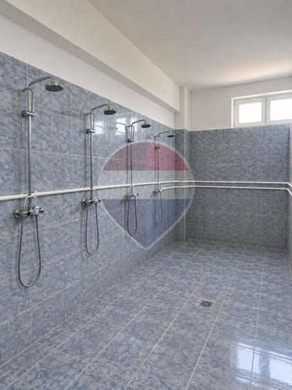 Proprietate specială, de 350 mp, în Jilava