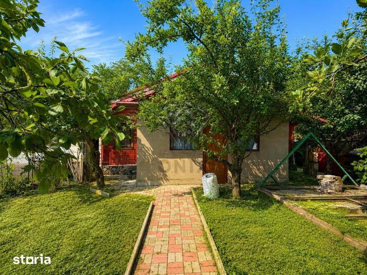 Casă cu 3 camere cu Teren 5000 Mp în Berceni