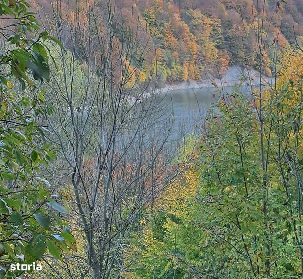 Teren de 2000 mp, în Valea Doftanei
