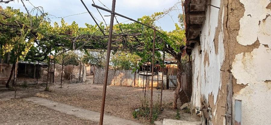 Casă cu Teren 10000 Mp în Saca