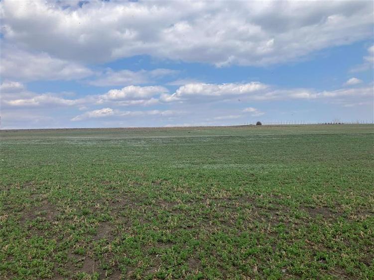 Teren intravilan de 2580 mp, în Movileni