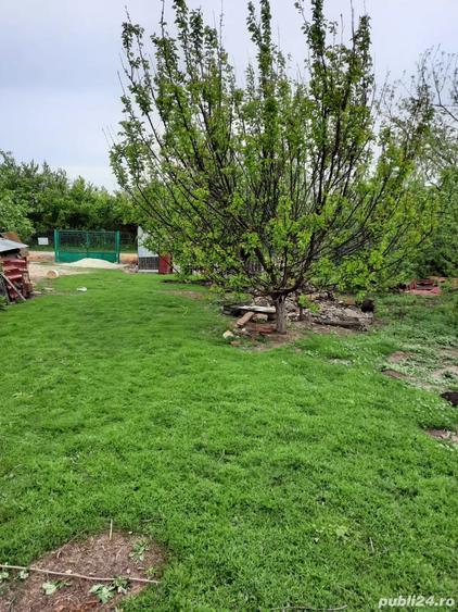Casă cu 4 camere cu Teren 13000 Mp în Oncești