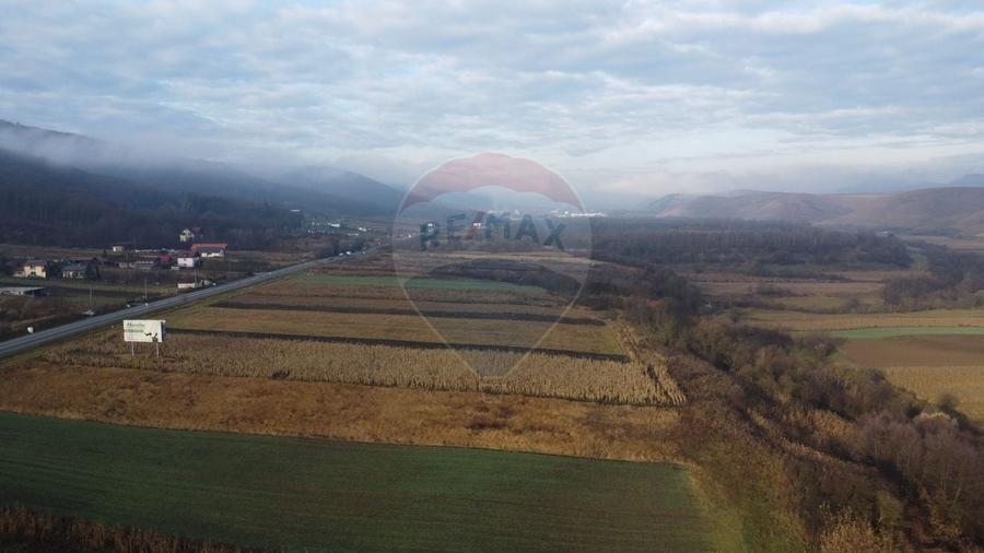 Teren Construcții intravilan de 9000 mp, în Gilău