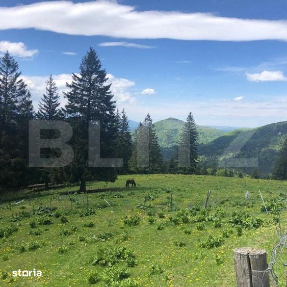 De vanzare, teren intravilan 5.500mp, Predeal - 3