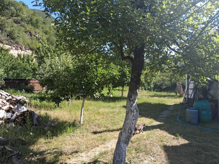 Casă cu 4 camere în Pecinișca
