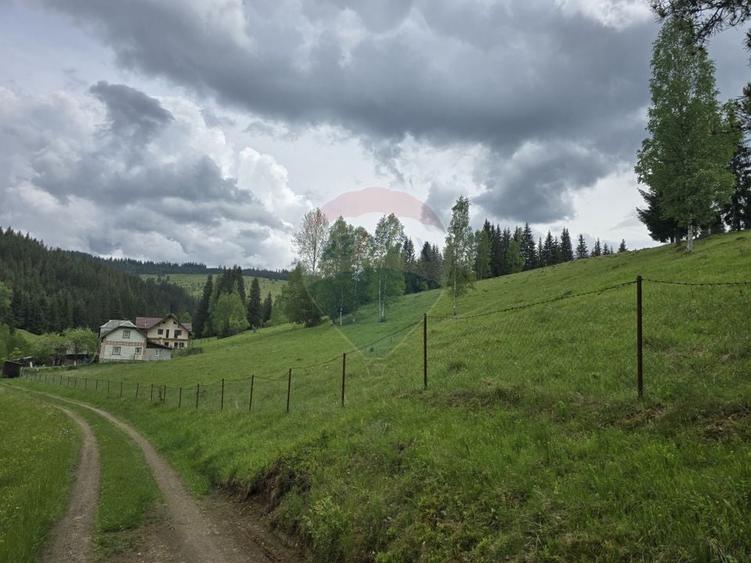 Teren agricol extravilan de 5034 mp, în Iacobeni