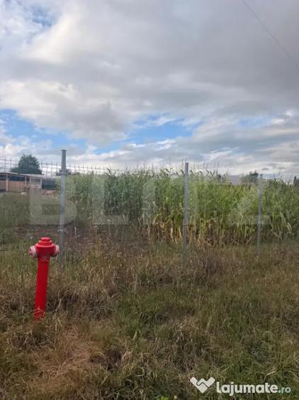 Teren intravilan, 1000 mp, front 50 ml, zona Bunesti - 3