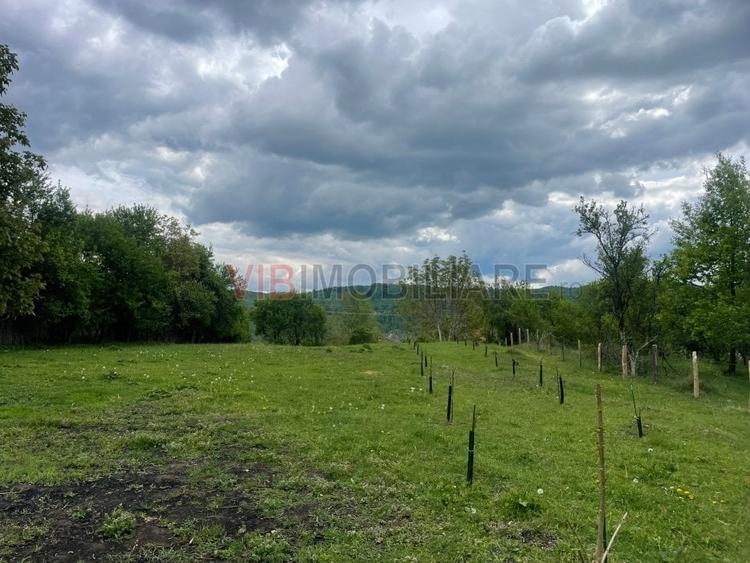 Teren Construcții intravilan de 7280 mp, în Mihăești