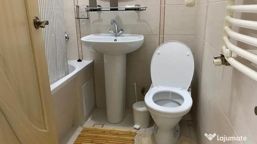 Apartament cu 2 camere de inchiriat in zona Teiul Doamnei - 2