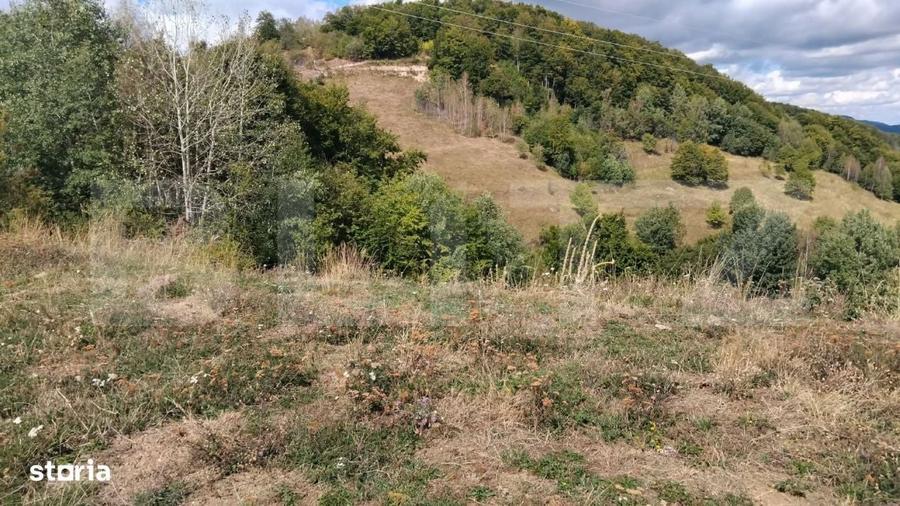 Spațiu comercial, în Valea Uzei