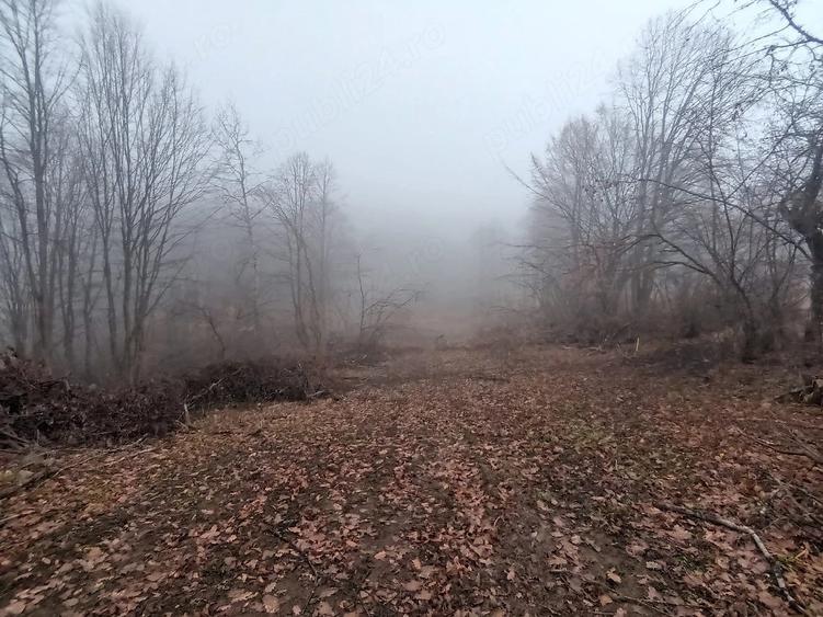 Teren de 3186 mp, în Vărmaga