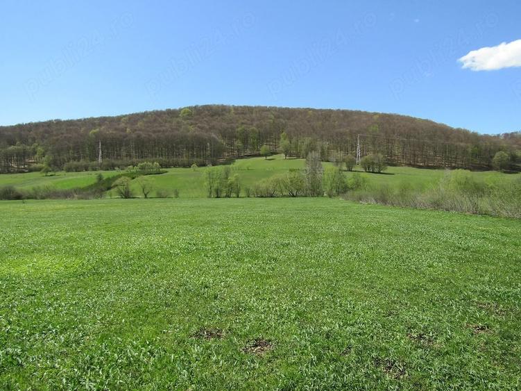 Teren de 4300 mp, în Valea Mare
