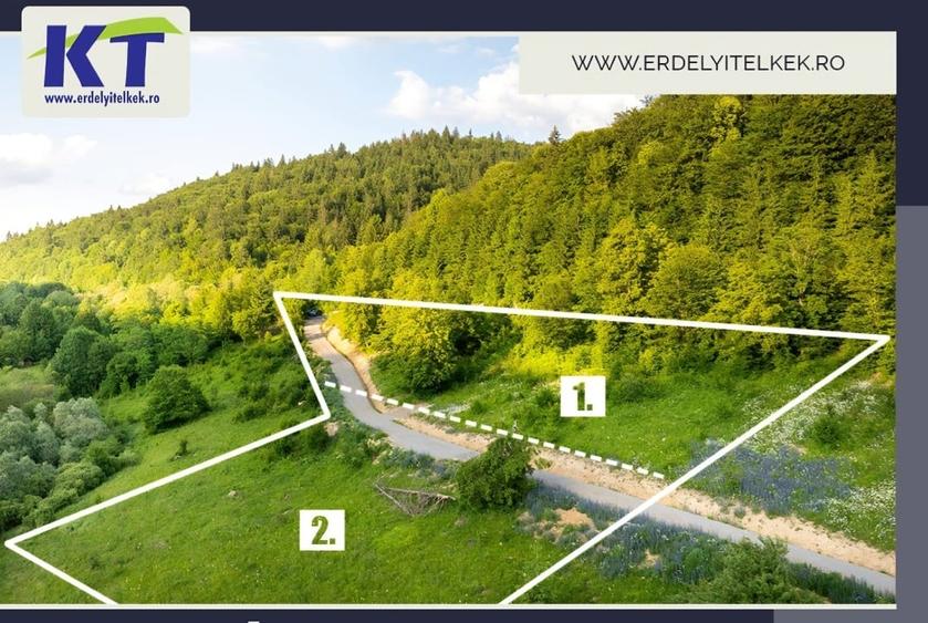Teren intravilan de 5467 mp, în Zetea