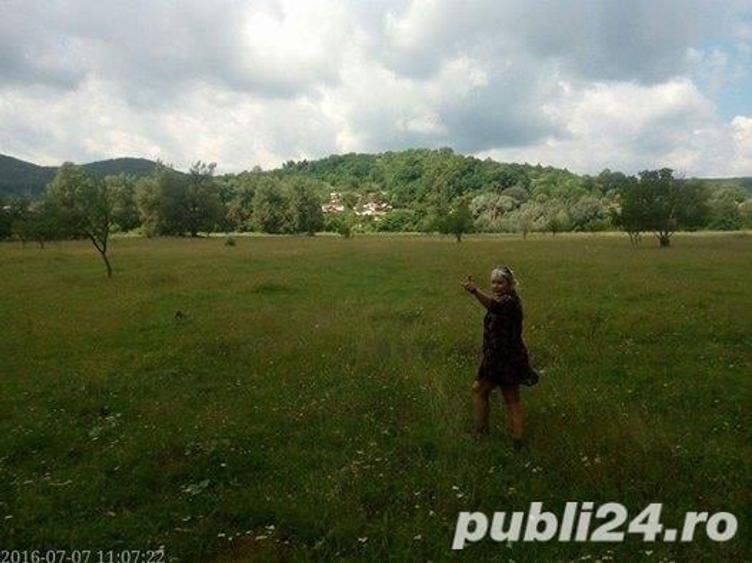 Teren în Iedera
