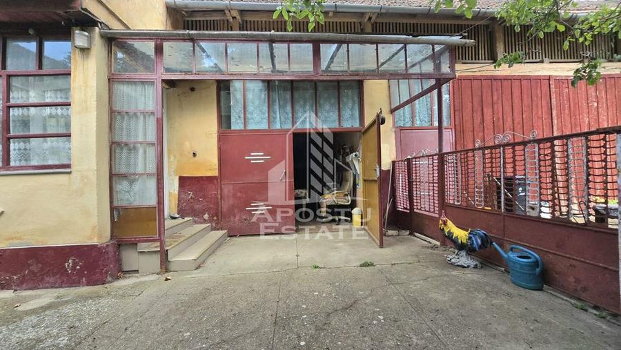 Casa 6 camere, Sandra, Teren 2217 mp - 14