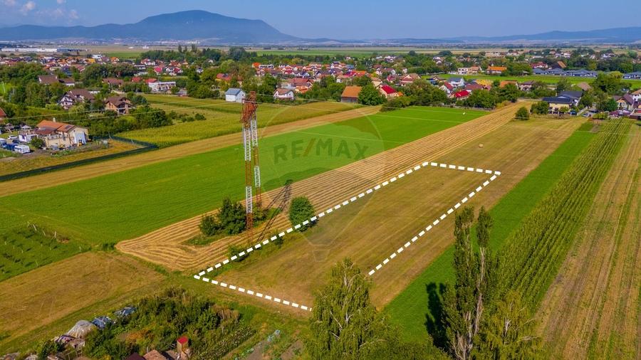 Teren Construcții intravilan de 3098 mp, în Stupini