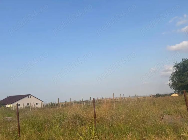 Teren de 5000 mp, în Mineri