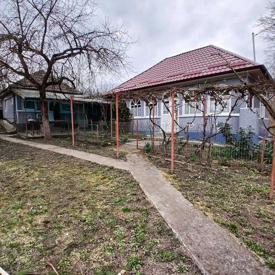 Persoana fizica vand casa in Sat Legii comuna Geaca - 5