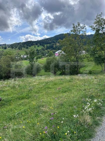 Teren Construcții intravilan de 1641 mp, în Rogojel