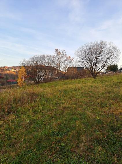Teren Construcții intravilan de 1000 mp, în Făget