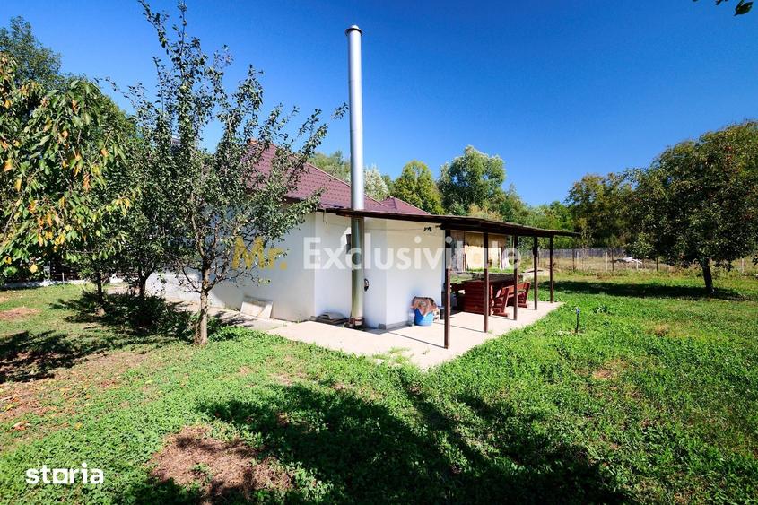 Casă cu 4 camere cu Teren 1586 Mp în Coșești