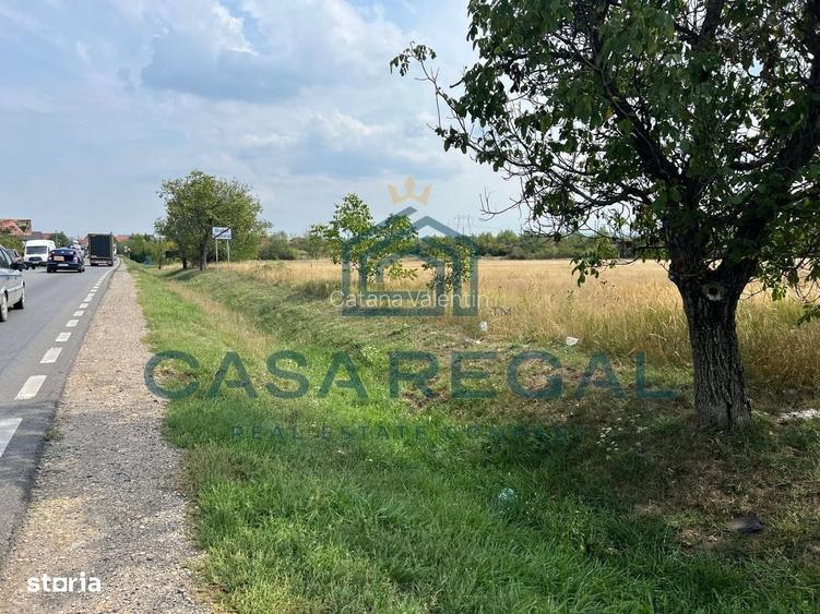 Teren comercial/industrial - Calea Clujului 7151 mp - FS 79 ml