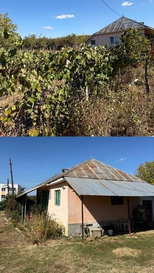 Casă individuală cu 3 camere cu Canalizare în Dejești