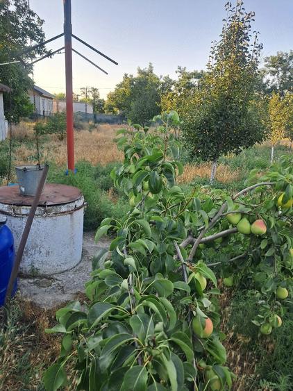 Casă cu Teren 1700 Mp în Plopu