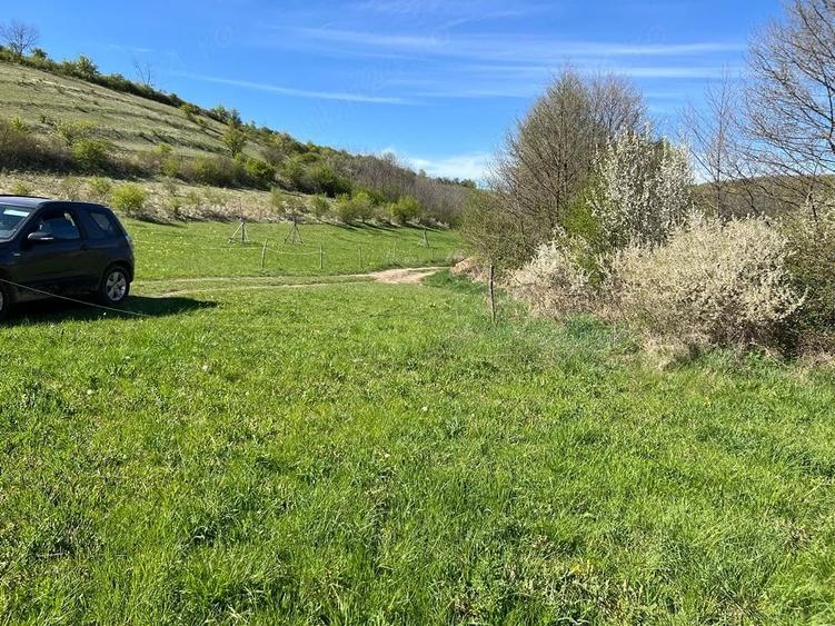 Teren de 1500 mp, în Central