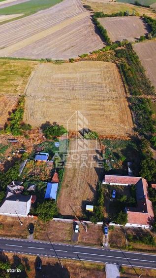 Teren intravilan de vanzare la Foeni, 13200 mp, front 24 m, Timis - 5