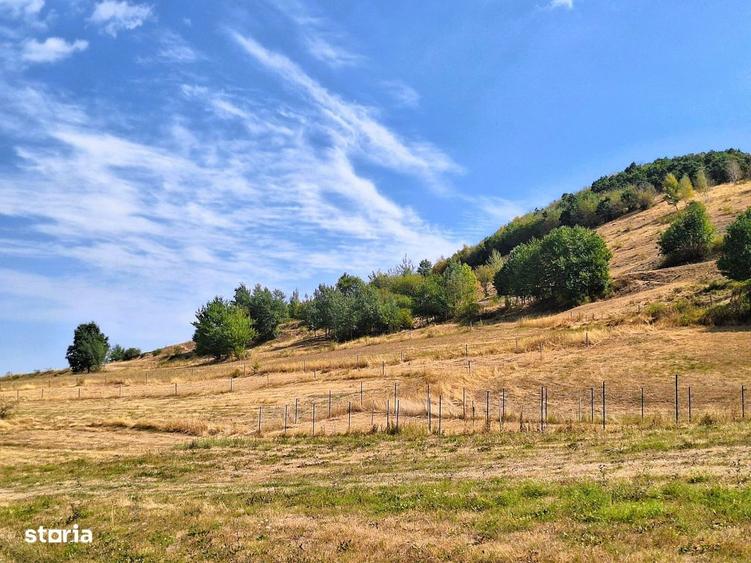 Teren de vanzare 1.257 mp Gura Raului-Zona Marajdiei -Investitie! - 5