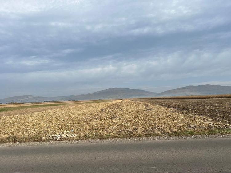 Teren agricol extravilan de 10000 mp, în Prejmer