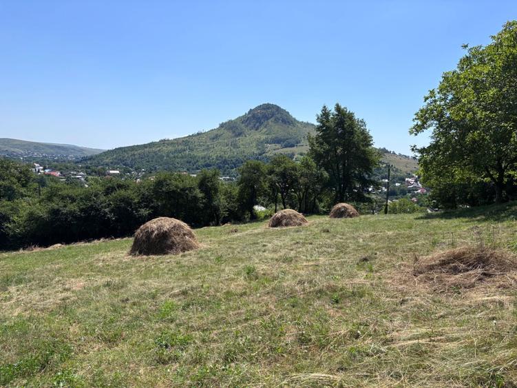 Spațiu comercial, în Gârcina