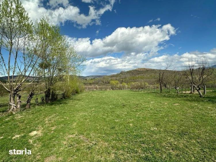 Teren de 4000 mp, în Central