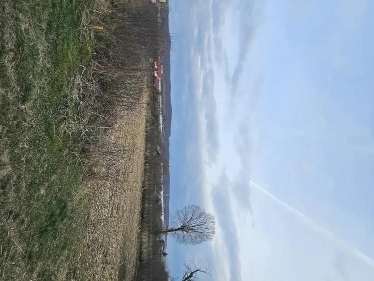Teren de 2645 mp, în Central
