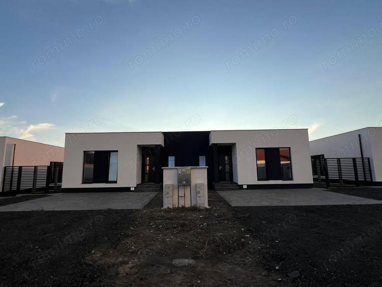 Sag-Manastire, proiect deosebit - 1