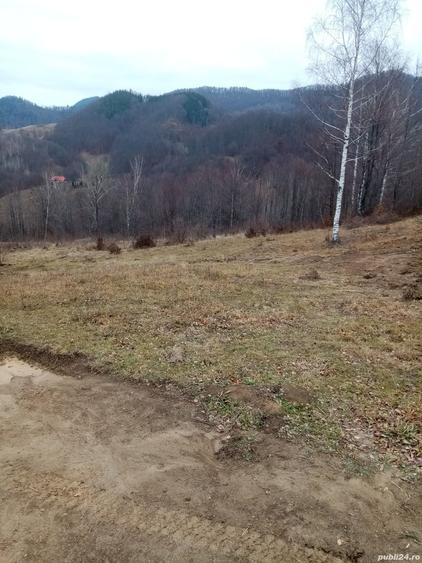 Teren de 10000 mp, în Lepșa