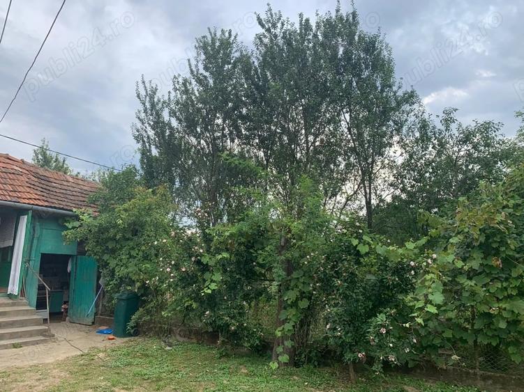 Casă cu 2 camere cu Teren 17000 Mp în Aciua