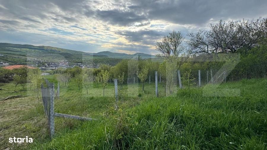 Teren extravilan de vanzare, 2.670 mp, Bistrita - 2