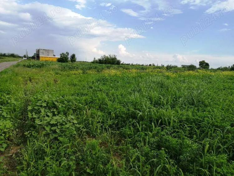 Teren în Tărtășești