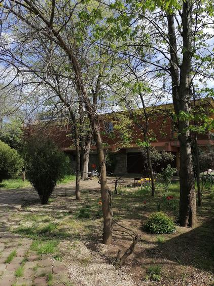 Casă individuală cu 12 camere cu Teren 1000 Mp în Central