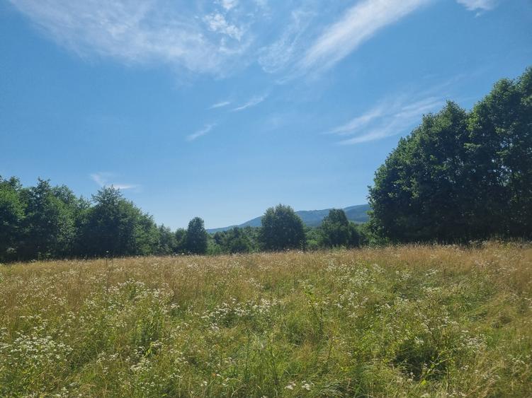 Teren agricol extravilan de 3250 mp, în Dejani