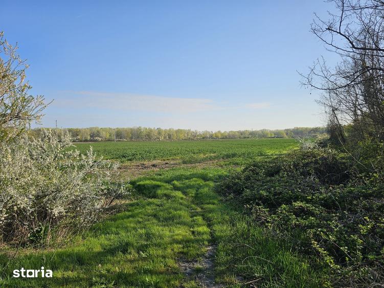 Teren de 10100 mp, în Gorgota