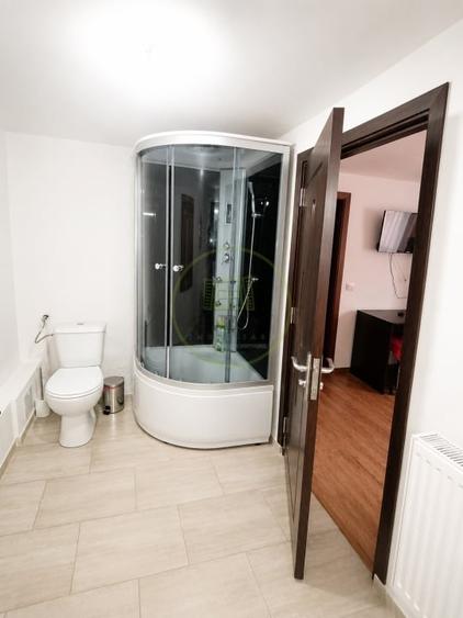 Apartament cu 3 camere semidecomandat, mobilat în Trei Stejari